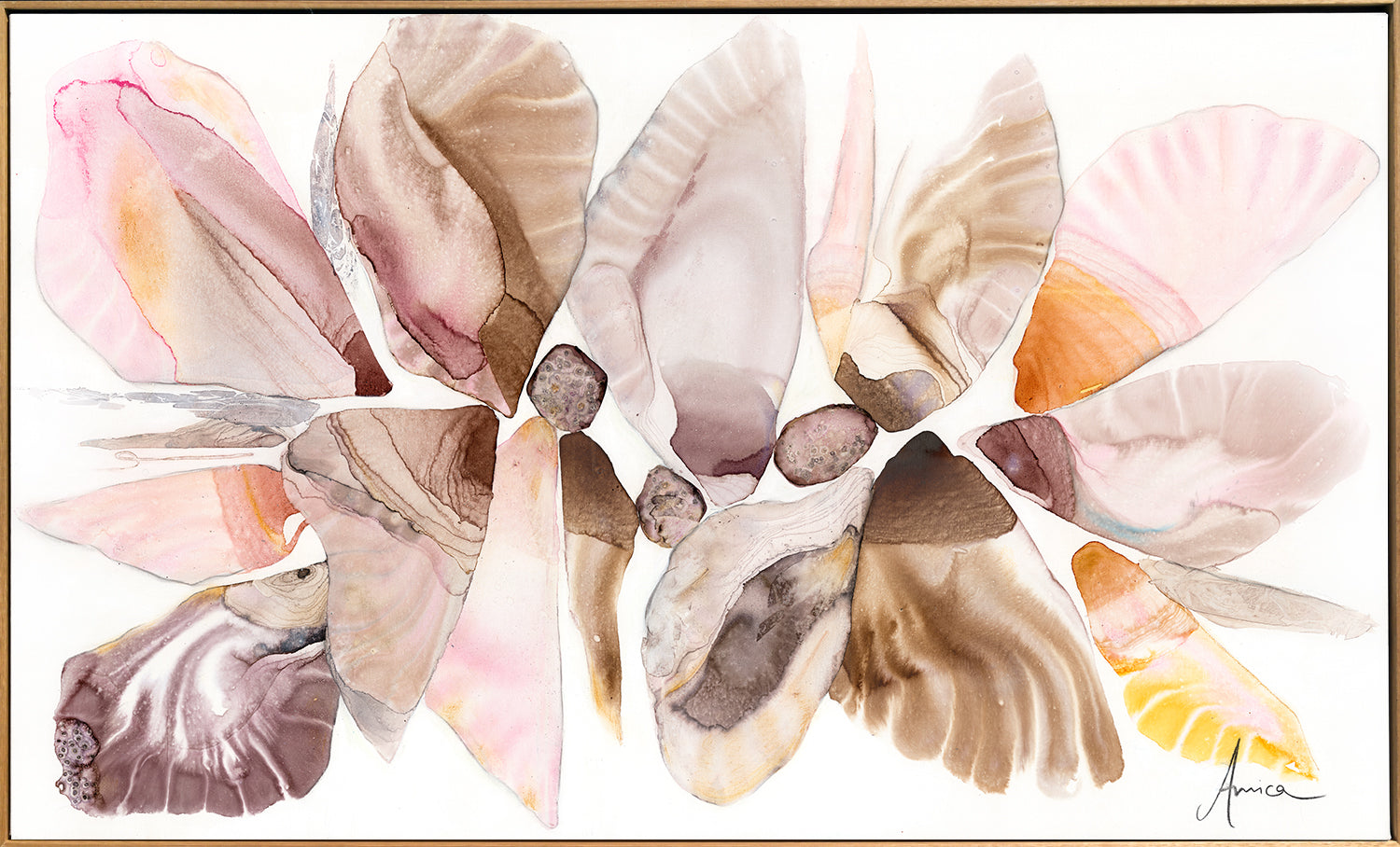 The Song in the Shell